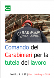 Comando dei Carabinieri per la tutela del lavoro Comando dei Carabinieri per la tutela del lavoro