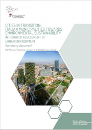 Cities in transition: Italian municipalities towards environmental sustainability Cities in transition: Italian municipalities towards environmental sustainability