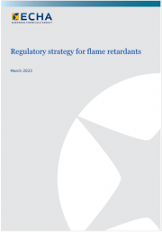 Regulatory strategy for flame retardants 