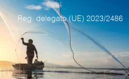 Regolamento delegato (UE) 2023/2486 