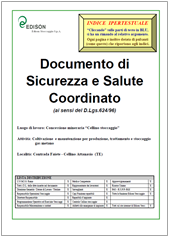 Modello Documento di Sicurezza e Salute - Edison