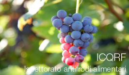 ICQRF - Ispettorato antifrodi alimentari ICQRF - Ispettorato antifrodi alimentari