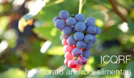 ICQRF - Ispettorato antifrodi alimentari