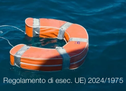 Regolamento di esecuzione (UE) 2024/1975 Regolamento di esecuzione (UE) 2024/1975