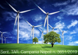 Sent. TAR. Campania Napoli 03/07/2019 n. 3651 Sent. TAR. Campania Napoli 03/07/2019 n. 3651