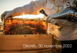 Decreto 30 novembre 2022 Decreto 30 novembre 2022