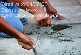 Direttiva 2004/37/CE Direttiva 2004/37/CE