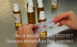 Decisione di esecuzione (UE) 2022/677 Decisione di esecuzione (UE) 2022/677