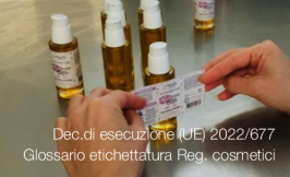 Decisione di esecuzione (UE) 2022/677