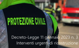 Decreto-Legge 11 gennaio 2023 n. 3 Decreto-Legge 11 gennaio 2023 n. 3