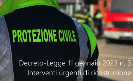 Decreto-Legge 11 gennaio 2023 n. 3