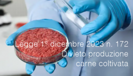 Legge 1 dicembre 2023 n. 172