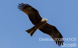 Direttiva 2009/147/CE Direttiva 2009/147/CE