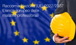 Raccomandazione (UE) 2022/2337
