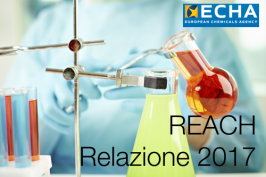 ECHA - Relazione 2017 Regolamento REACH