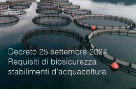 Decreto 25 settembre 2024 Decreto 25 settembre 2024