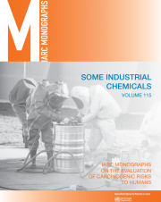 Some Industrial Chemicals: IARC Volume115 (2018)