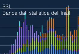 SSL - Banca dati statistica dell’Inail 