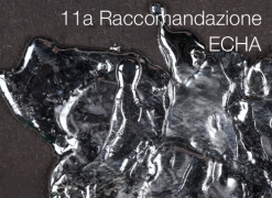 11a Raccomandazione ECHA / Piombo: in allegato XIV REACH Sostanze soggette autorizzazione 