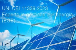 UNI CEI 11339:2023 | Esperto in Gestione dell'Energia (EGE)