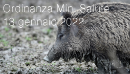 Ordinanza Min. Salute 13 gennaio 2022 Ordinanza Min. Salute 13 gennaio 2022