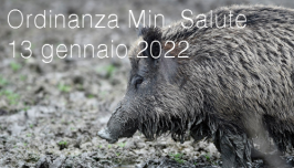 Ordinanza Min. Salute 13 gennaio 2022