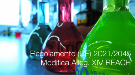 Regolamento (UE) 2021/2045 Regolamento (UE) 2021/2045