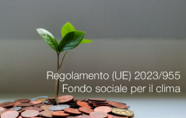 Regolamento (UE) 2023/955