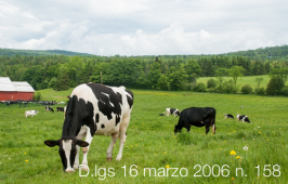 Decreto legislativo 16 marzo 2006 n. 158 Decreto legislativo 16 marzo 2006 n. 158