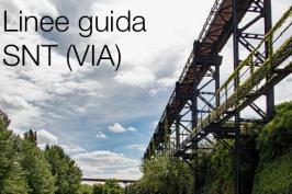 Linee guida predisposizione della Sintesi non Tecnica (VIA) Linee guida predisposizione della Sintesi non Tecnica (VIA)