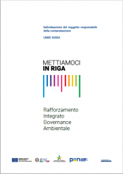 Linee Guida principio comunitario “chi inquina paga Linee Guida principio comunitario “chi inquina paga