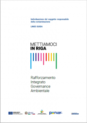 Linee Guida principio comunitario “chi inquina paga