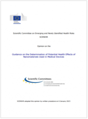 Guidance on the determination of potential health effects of nanomaterials used in medical devices