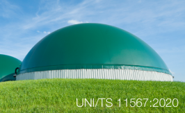 UNI/TS 11567:2020 UNI/TS 11567:2020