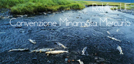 L'UE ratifica la convenzione di Minamata sul mercurio L'UE ratifica la convenzione di Minamata sul mercurio