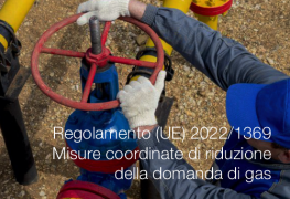 Regolamento (UE) 2022/1369