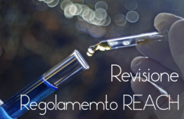 Revisione Regolamento REACH: Consultazione pubblica