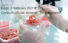 Decreto legislativo 2 febbraio 2021 n. 32