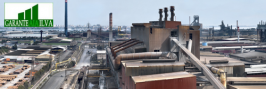 Il Garante dell'Autorizzazione Integrata Ambientale ILVA: la Sezione dedicata ISPRA Il Garante dell'Autorizzazione Integrata Ambientale ILVA: la Sezione dedicata ISPRA