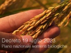 Decreto 19 luglio 2023 Decreto 19 luglio 2023