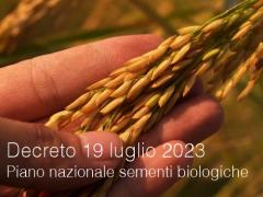 Decreto 19 luglio 2023 