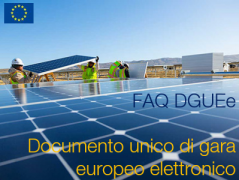 DGUEe - FAQ DGUEe - FAQ