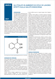 Gli Ftalati in ambienti di vita e di lavoro Gli Ftalati in ambienti di vita e di lavoro