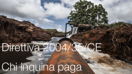 Direttiva 2004/35/CE Direttiva 2004/35/CE