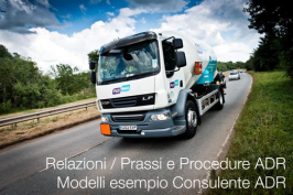 Relazioni / Prassi e Procedure ADR: Modelli esempio Consulente ADR Relazioni / Prassi e Procedure ADR: Modelli esempio Consulente ADR