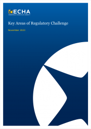 ECHA's report: Key Areas of Regulatory Challenge