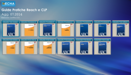 Guide pratiche REACH e CLP: Aggiornamento 07.2014