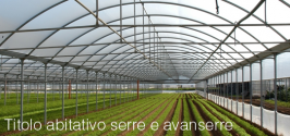 Titolo abitativo serre e avanserre: Sentenza CC n. 50649/2018 Titolo abitativo serre e avanserre: Sentenza CC n. 50649/2018