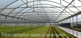 Titolo abitativo serre e avanserre: Sentenza CC n. 50649/2018