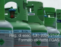Regolamento di esecuzione (UE) 2024/2174 Regolamento di esecuzione (UE) 2024/2174